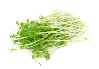 Green Pea Sprouts isolated on white