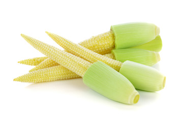 baby corn isolated on white background © nipaporn