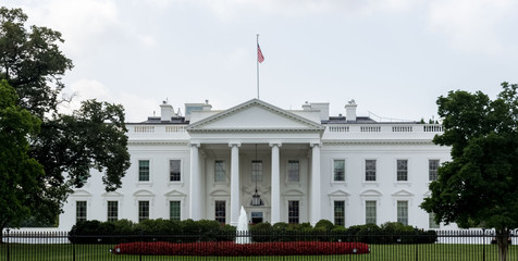 Fototapeta na wymiar The White House - Washington D.C, United States