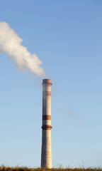 fuming plant, close-up