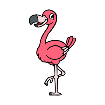 Cartoon Flamingo Vector Illustration