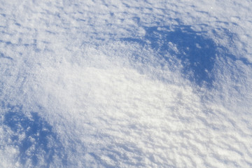 land covered with snow