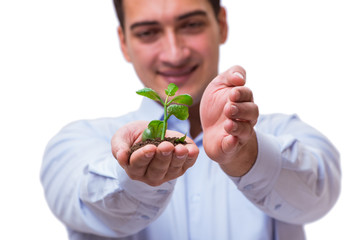 Man holding green seedling isolated on white