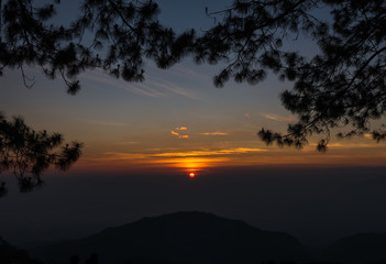 Fototapeta na wymiar Sunrise over Mountain Landscape background with pine