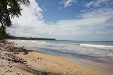 Digital Archival of Instituto Valei - Environmental Protection Area of the Tinharé and Boipeba Islands, in the State of Bahia Brazil