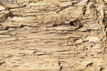 Fototapeta na wymiar old split wood