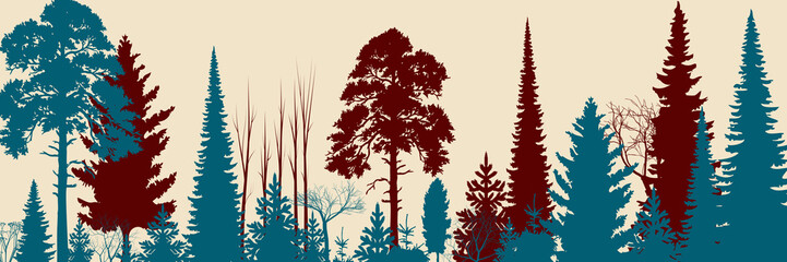 Wide Forest Background    - vector illustration