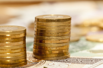 Polish Zloty, close-up