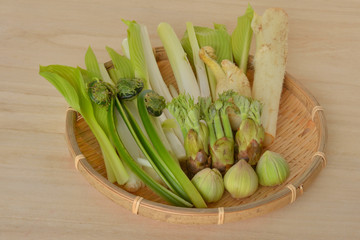 春の山菜５種　木目背景
