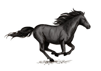 Fototapeta na wymiar Black horse running on racing sport