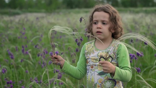 A little girl collects wildflowers