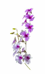 Fototapeta na wymiar Beautiful bouguet orchid flowers