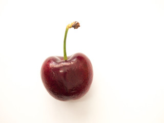 One cherry on white background