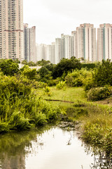 Residential high rise buildings