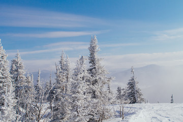 Obraz premium Beautiful winter landscape with trees