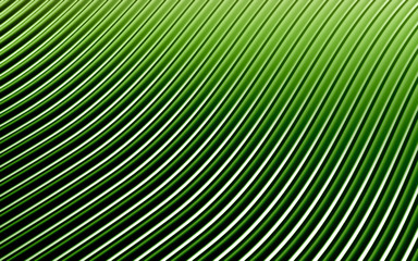 Fototapeta premium Zielony abstrakcjonistyczny wizerunek linii tło. Renderowania 3d