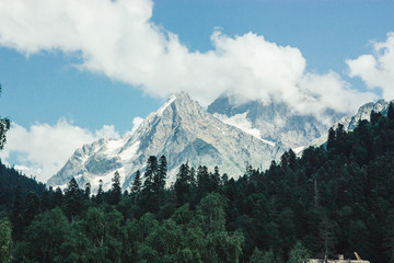 Plakaty  Górski krajobraz lato z lasem i wysokimi szczytami. Kaukaz.