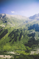 Naklejka premium Mountain summer landscape with forest and high peaks. Caucasus.