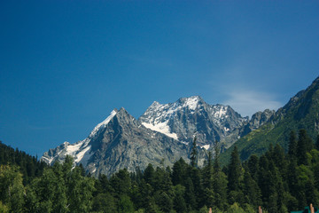 Mountain summer landscape with forest and high peaks. Caucasus.