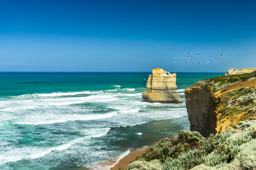 Great Ocean Road Seagulls over Cliffs. One of the first "12 Apostles" at famous Great Ocean Road, South Australia. Seagulls flying in the distance.