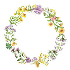 Watercolor round frame with medical plants.