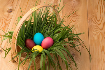basket with green grass and Easter eggs on wooden boards