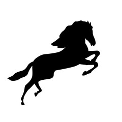 Obraz na płótnie Canvas horse vector illustration black silhouette