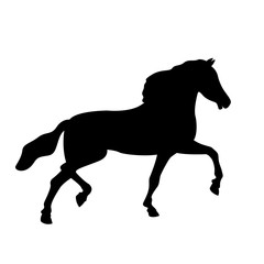 Obraz na płótnie Canvas horse vector illustration black silhouette