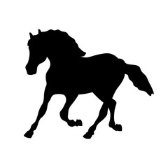 Fototapeta na wymiar horse vector illustration black silhouette