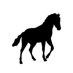 horse vector illustration black silhouette