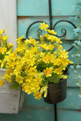 yellow flowers and blue wooden background from boards