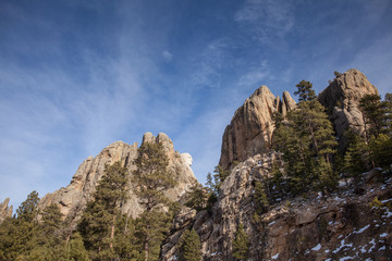 South Dakota, near Mount Rushmore National Monument USA in winter