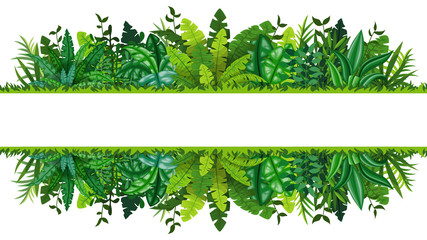 Illustration of a tropical rainforest banner