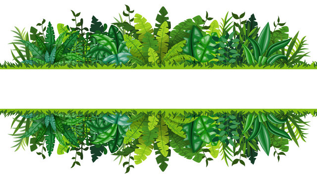 Fototapeta Ilustracja banner tropikalnego lasu deszczowego