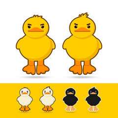 couple  duck vector illustration