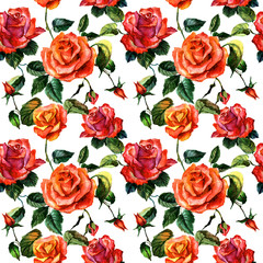 Wildflower rose flower pattern in a watercolor style isolated.