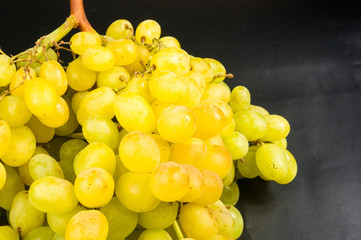 Large grapes cluster
