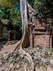 Ta Prohm Temple landmark in Siem Reap, Cambodia. Angkor Wat insc