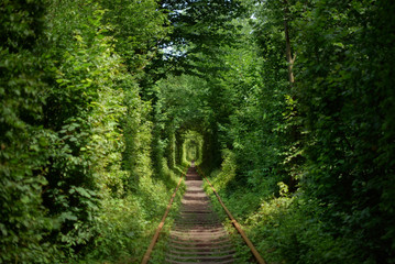 tunnel of love