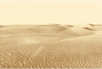 dunes in the desert