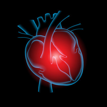 Heart pain, Heart x ray with black background