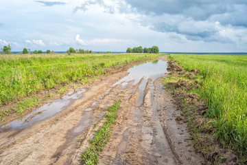 Fototapeta na wymiar Vanishing dirt road with deep wet rut and puddles in sunny meadow. 