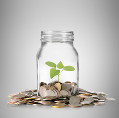  coins in piggy bank Glass