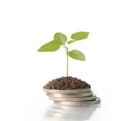 Coins graph stock market