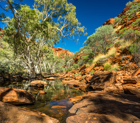 Kings Canyon Oasis. Taking a walk inside famous Kings Canyon, Australia. The stream holds lots of water after heavy rains.