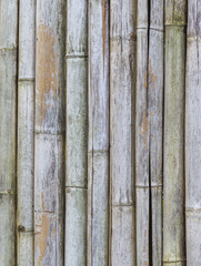 Closeup texture of old bamboo fence background