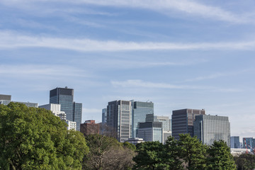 Fototapeta premium 東京のオフィスビル街
