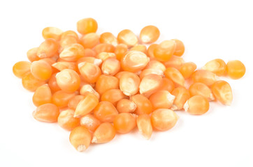 popcorn seeds