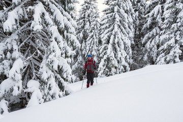 Fototapeta na wymiar Man traveler goes in snowshoes among snow covered fir trees