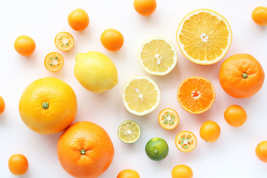 Fototapeta Various citrus fruits on white background